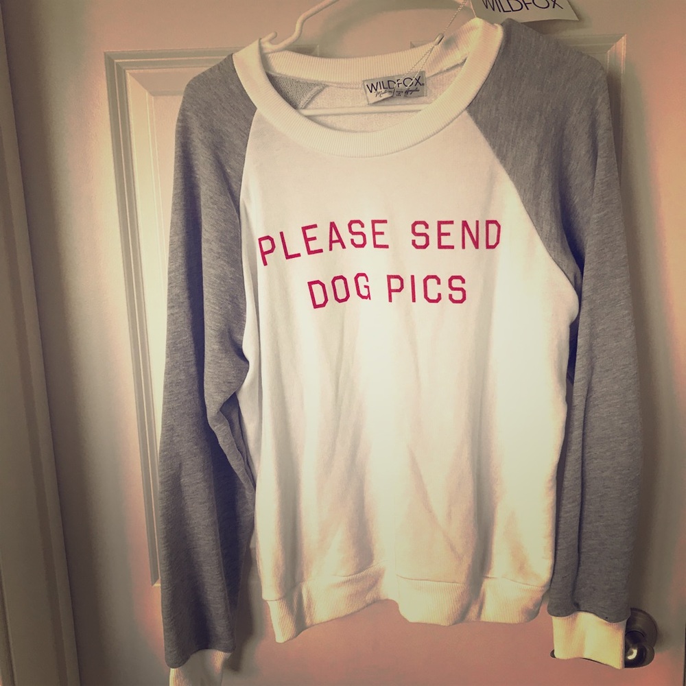 Wildfox sweatshirt NWT. Send 🐶 pics! Size med.